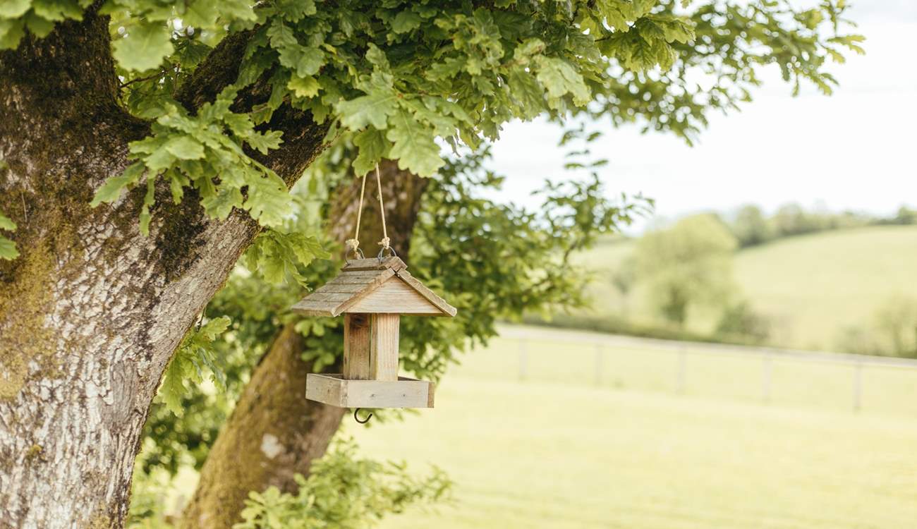 Nature is all around when at Wootton Lodge.