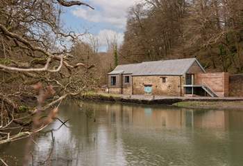 There are 12 steps from the balcony area.