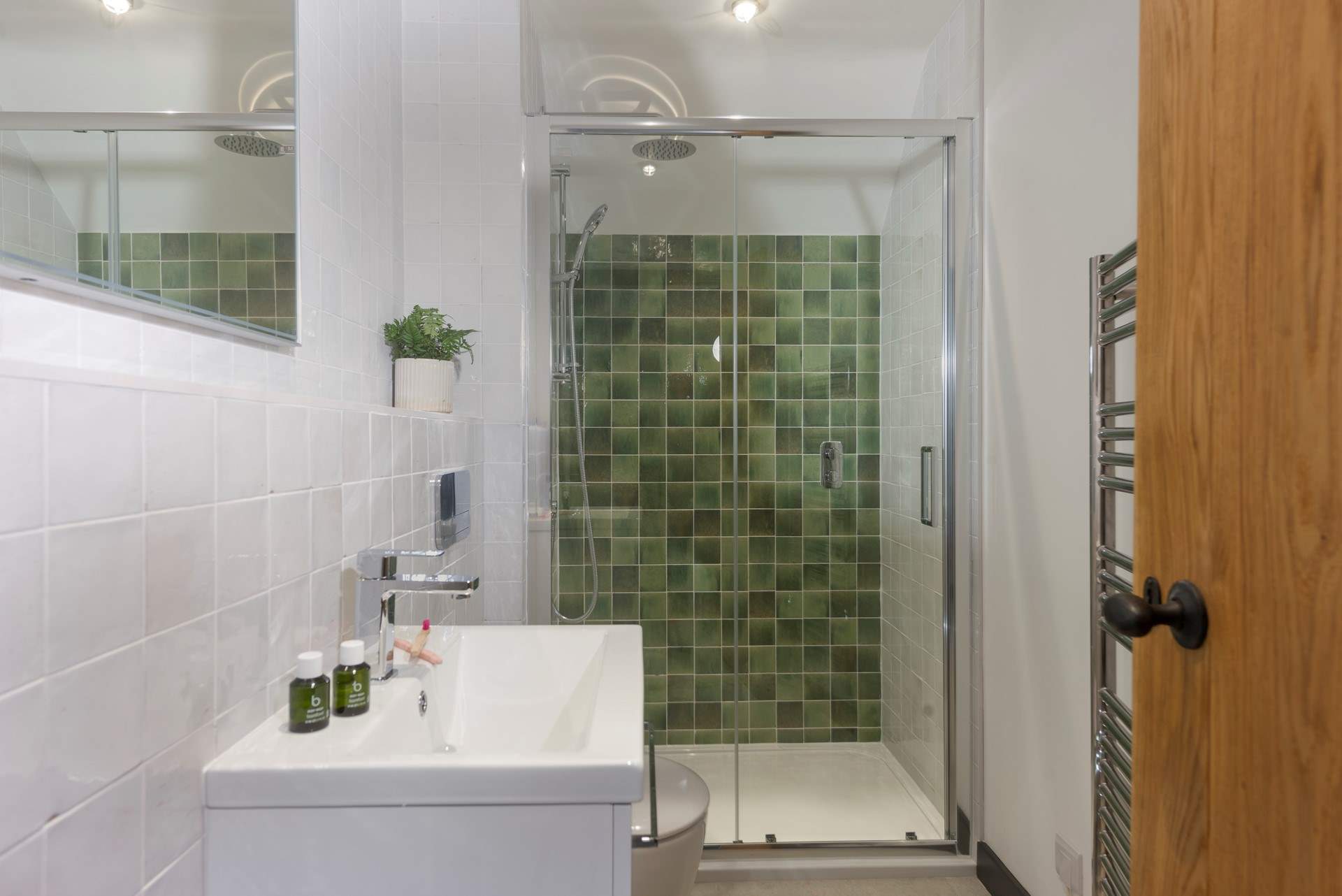 The sparkling shower-room.