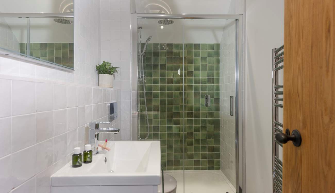 The sparkling shower-room.