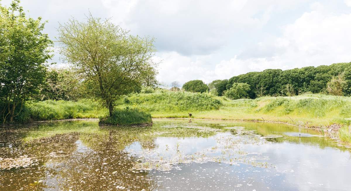 There is a beautiful fishing lake for guests to use.