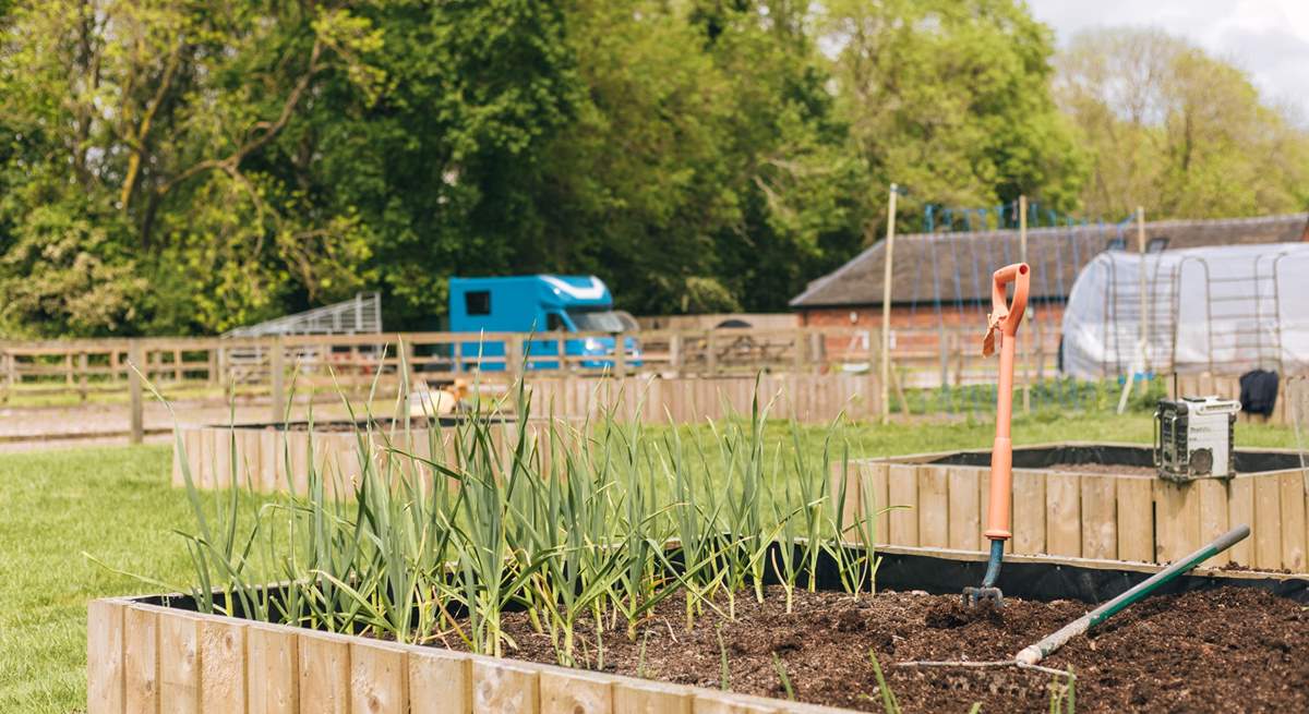 Guests are invited to help themselves to home grown produce.