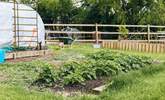 Sustainability is key at Home Farm, and the raised vegetable patches are all made from materials found on the farm. - Thumbnail Image