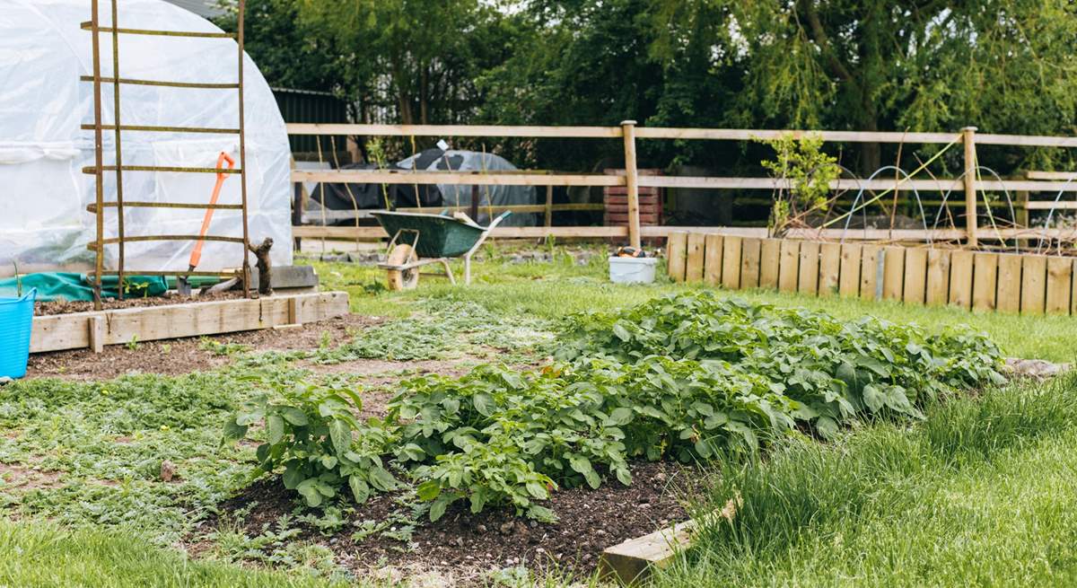 Sustainability is key at Home Farm, and the raised vegetable patches are all made from materials found on the farm.