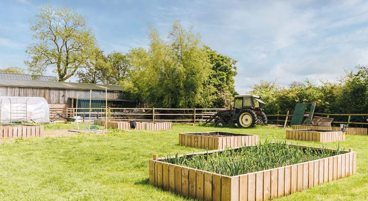 Seasonal vegetables and herbs are free to pick in the raised bed garden.