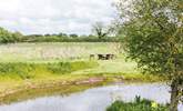 Picnic by the pond.  - Thumbnail Image