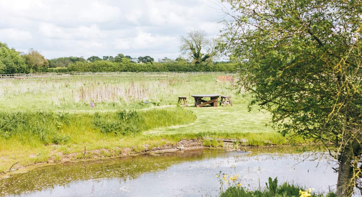 Picnic by the pond. 