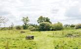 Picnic areas are dotted around the 30 acres of grounds.  - Thumbnail Image