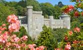 Caerhays Castle and Gardens are well worth a visit. - Thumbnail Image