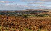 The wide open spaces of beautiful Dartmoor. - Thumbnail Image