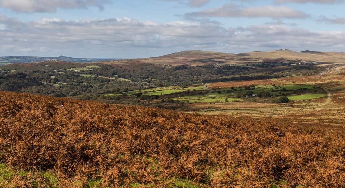 The wide open spaces of beautiful Dartmoor.