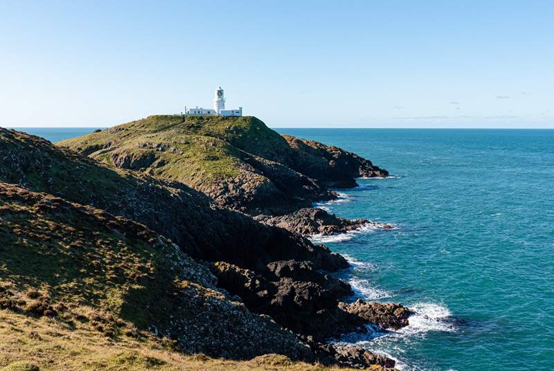 Follow the coastal path, accessed nearby around stunning Strumble Head and Lighthouse.