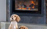 Your four-legged friends are set to be treated to the warmth of the log-burner.  - Thumbnail Image