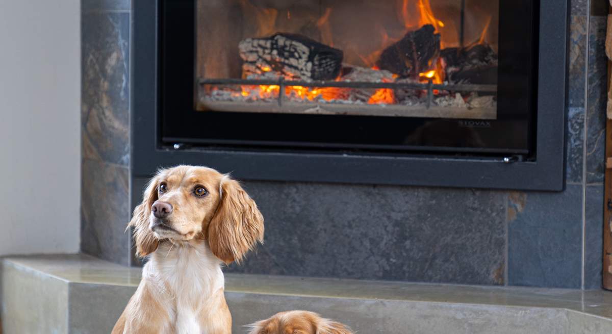 Your four-legged friends are set to be treated to the warmth of the log-burner. 