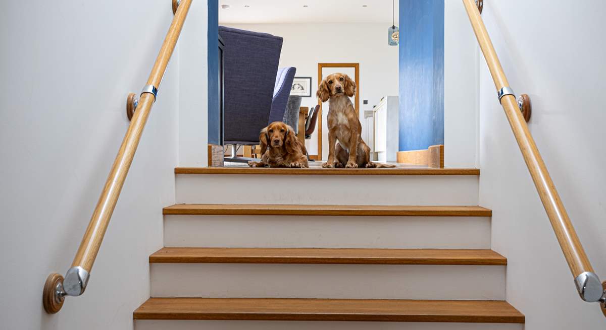 The house is dog-friendly, however we kindly ask that dogs remain in the main open plan area. 