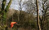 Head down past the pond and find the swing. Please note that children should be supervised as the swing swings out over the hill with no ground below.  - Thumbnail Image