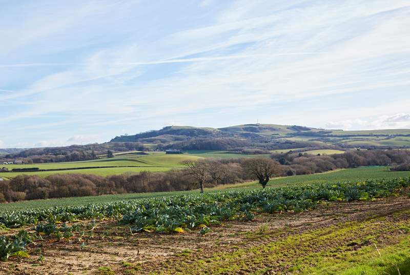 The panoramic view towards Godshill.
