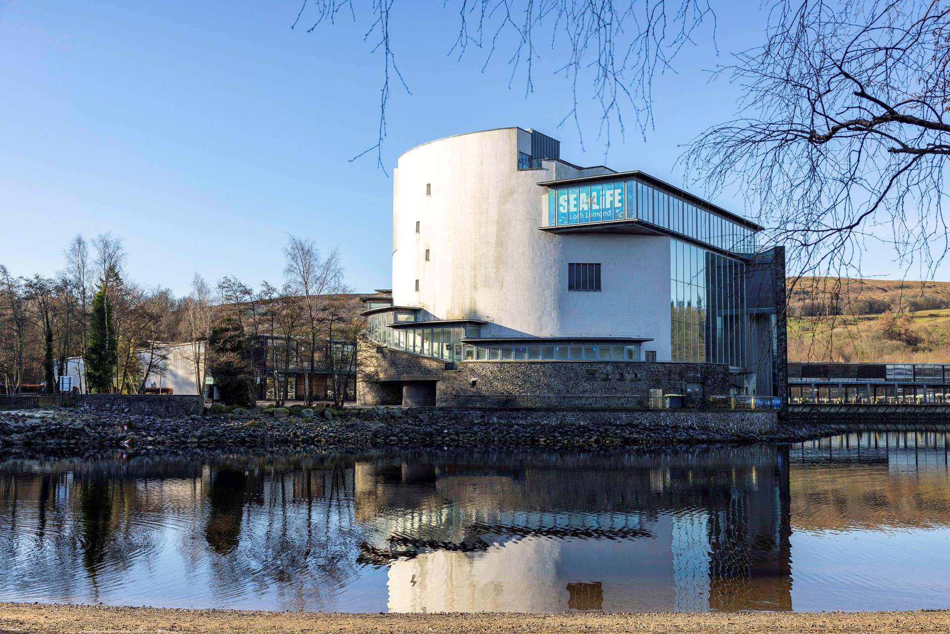 The Sea Life Centre on Loch Lomond is well worth a visit.