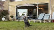 Your four-legged friends will be very happy with their holiday home. 
