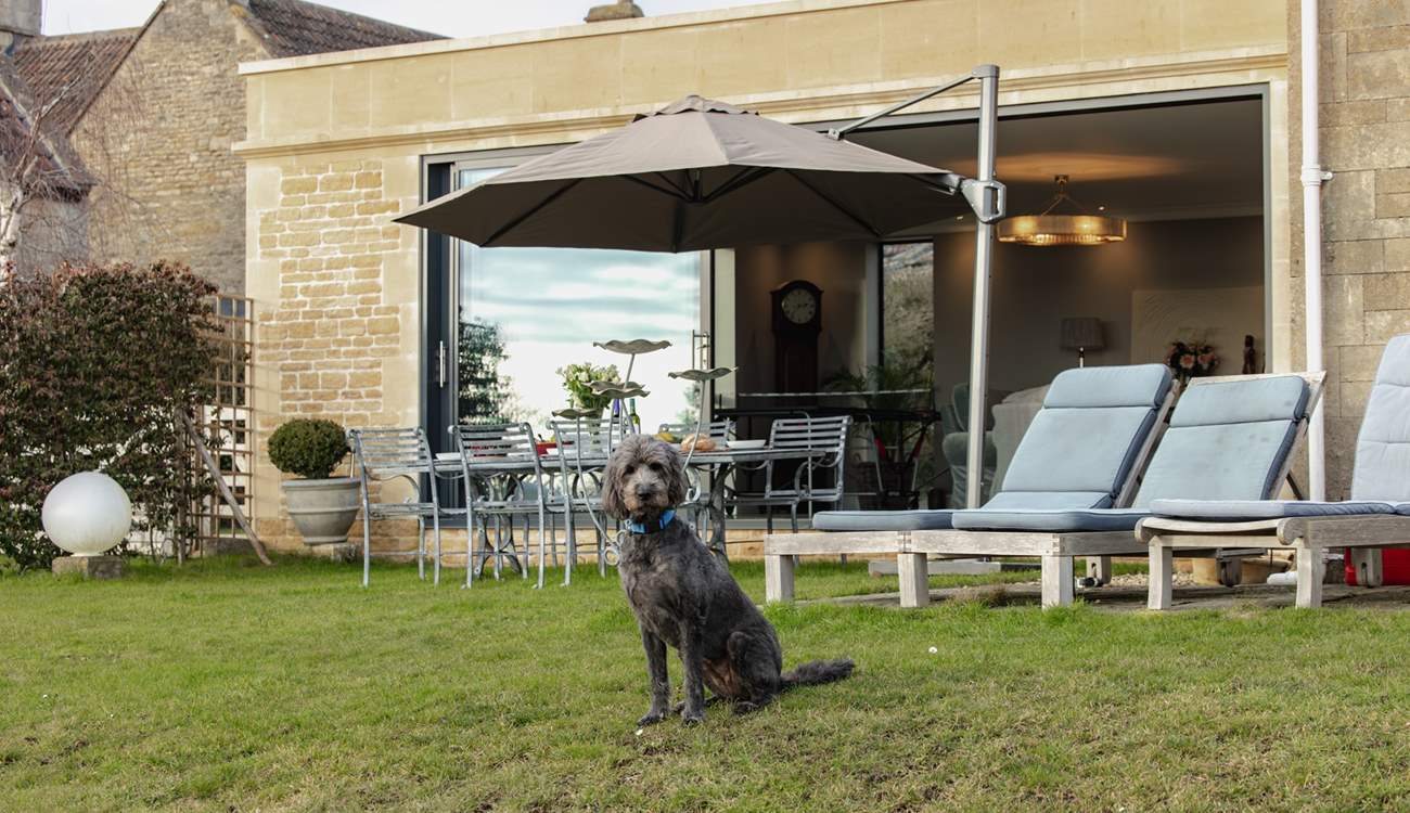Your four-legged friends will be very happy with their holiday home. 