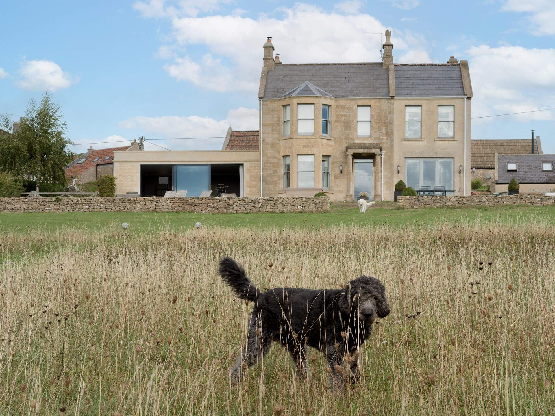 So much space to enjoy...