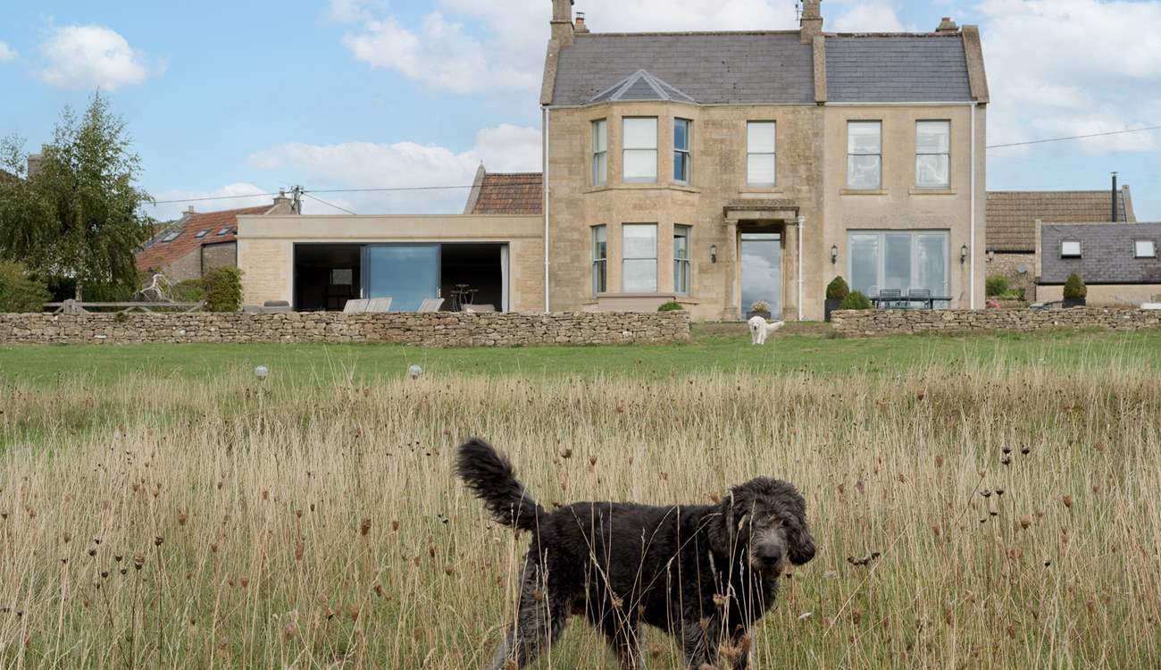 So much space to enjoy...