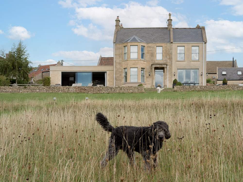 So much space to enjoy...