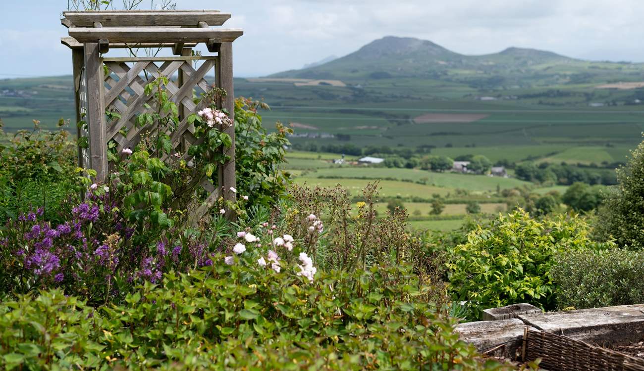 This might just be a perfect getaway where you can immerse yourself in the wonder and beauty of your surroundings. 