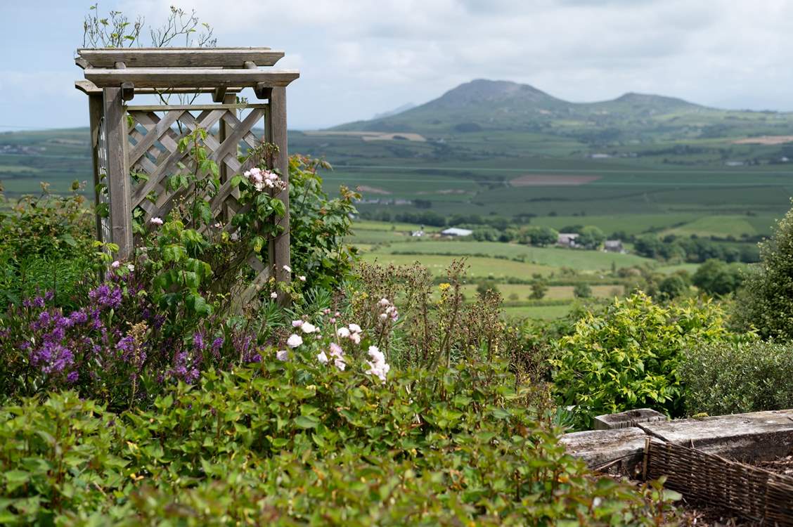 This might just be a perfect getaway where you can immerse yourself in the wonder and beauty of your surroundings.