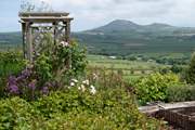This might just be a perfect getaway where you can immerse yourself in the wonder and beauty of your surroundings.