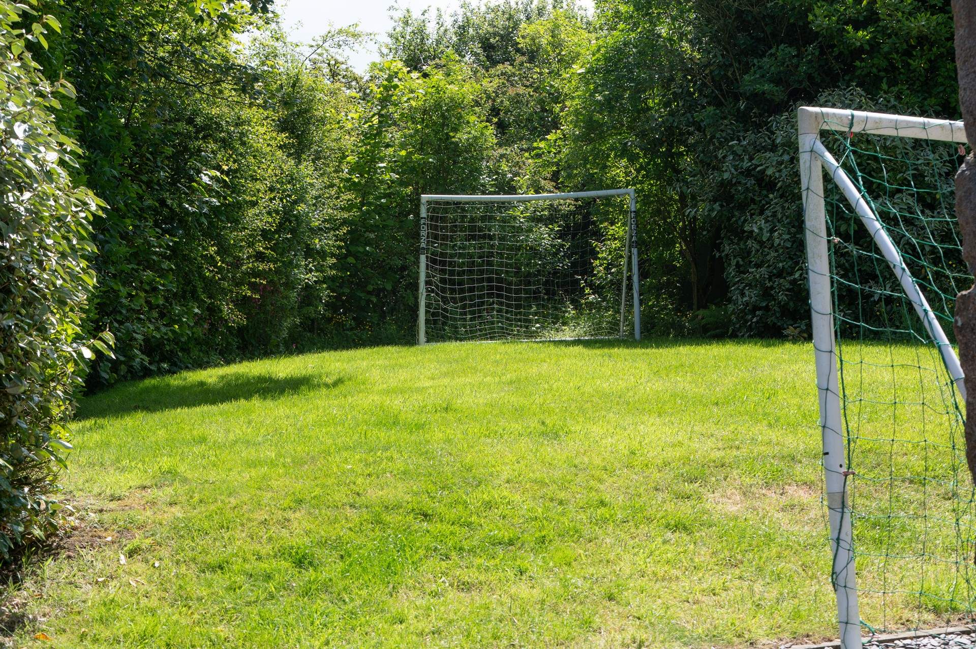 The sun-soaked lawn.