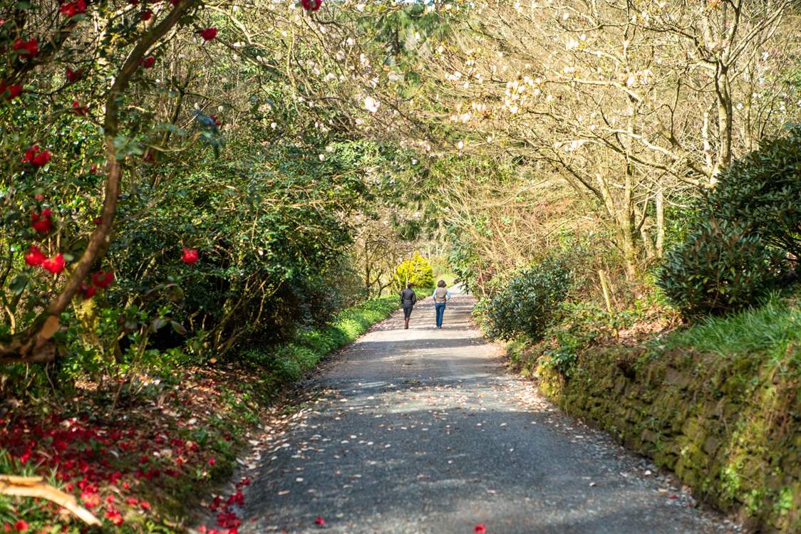 The grounds are yours to explore.