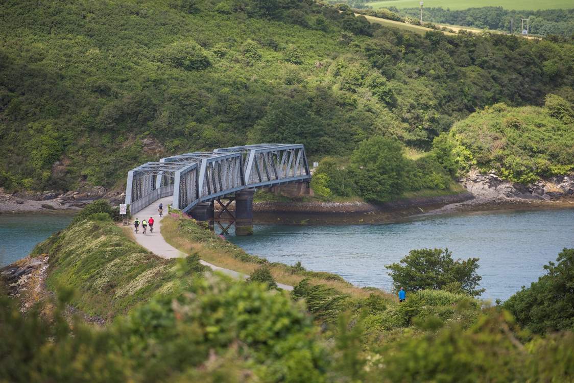 A cycle along the Camel Trail is a real thrill. 17 miles in total from Bodmin Moor out to Padstow on the coast but don't worry, you can join it at various points along the way.