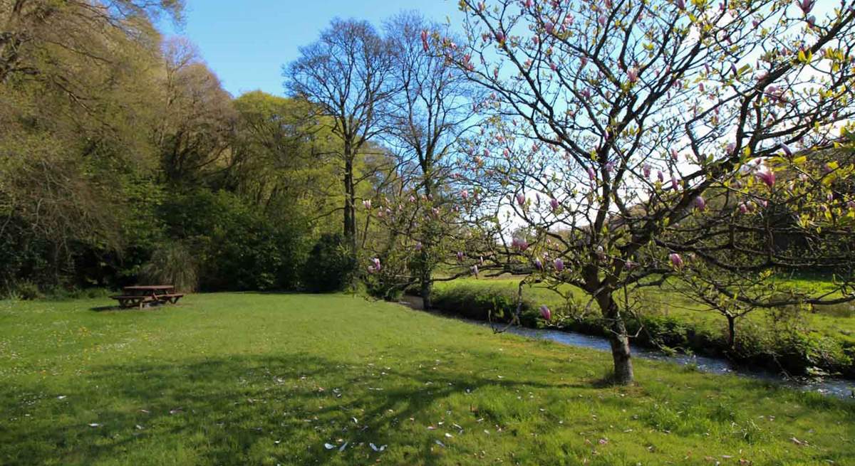 Running alongside the garden is the River Allen. Please be mindful of younger members by the river's edge.