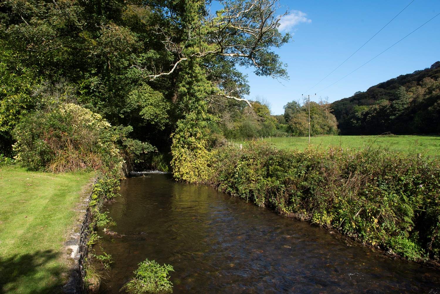 Running alongside the garden is the River Allen. Please be mindful of younger members by the river's edge.