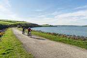 Hire some bikes and head off along the Camel Trail.
