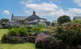 Pretty colourful in the Cornish sun. - Thumbnail Image