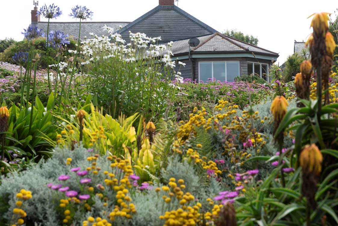 In the summer months, the garden is a blaze of colour.