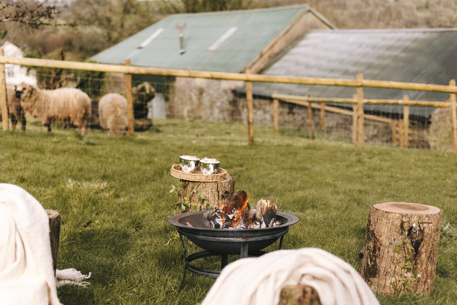 Time to enjoy toasting marshmallows!