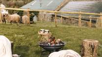 Time to enjoy toasting marshmallows!
