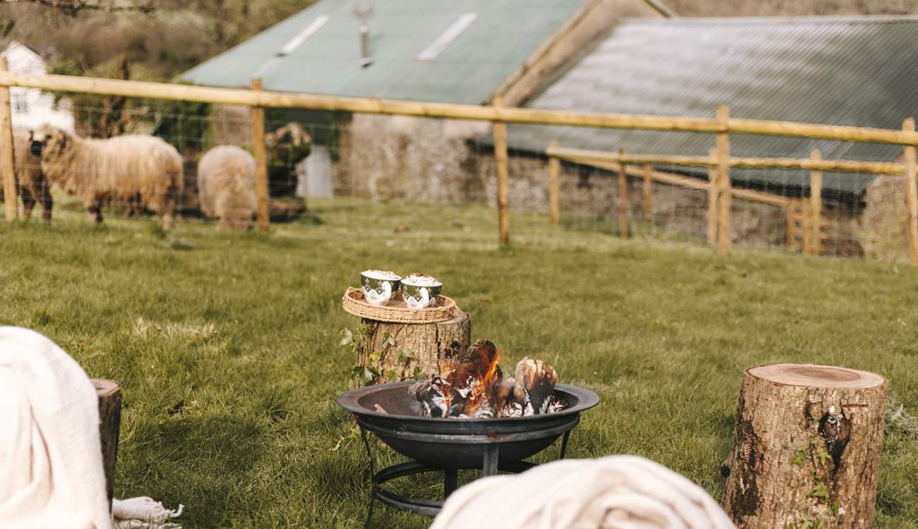 Time to enjoy toasting marshmallows!