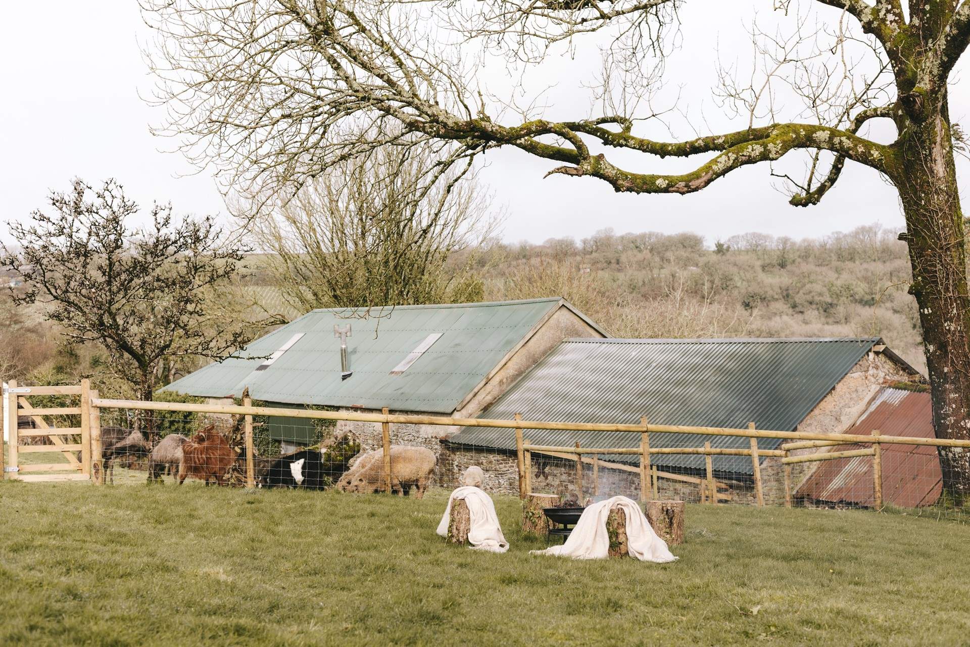 The owners are not far away should the need arise but you have total privacy.