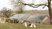 The owners are not far away should the need arise but you have total privacy.