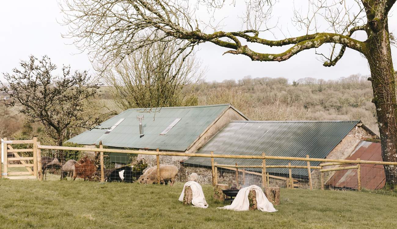 The owners are not far away should the need arise but you have total privacy.