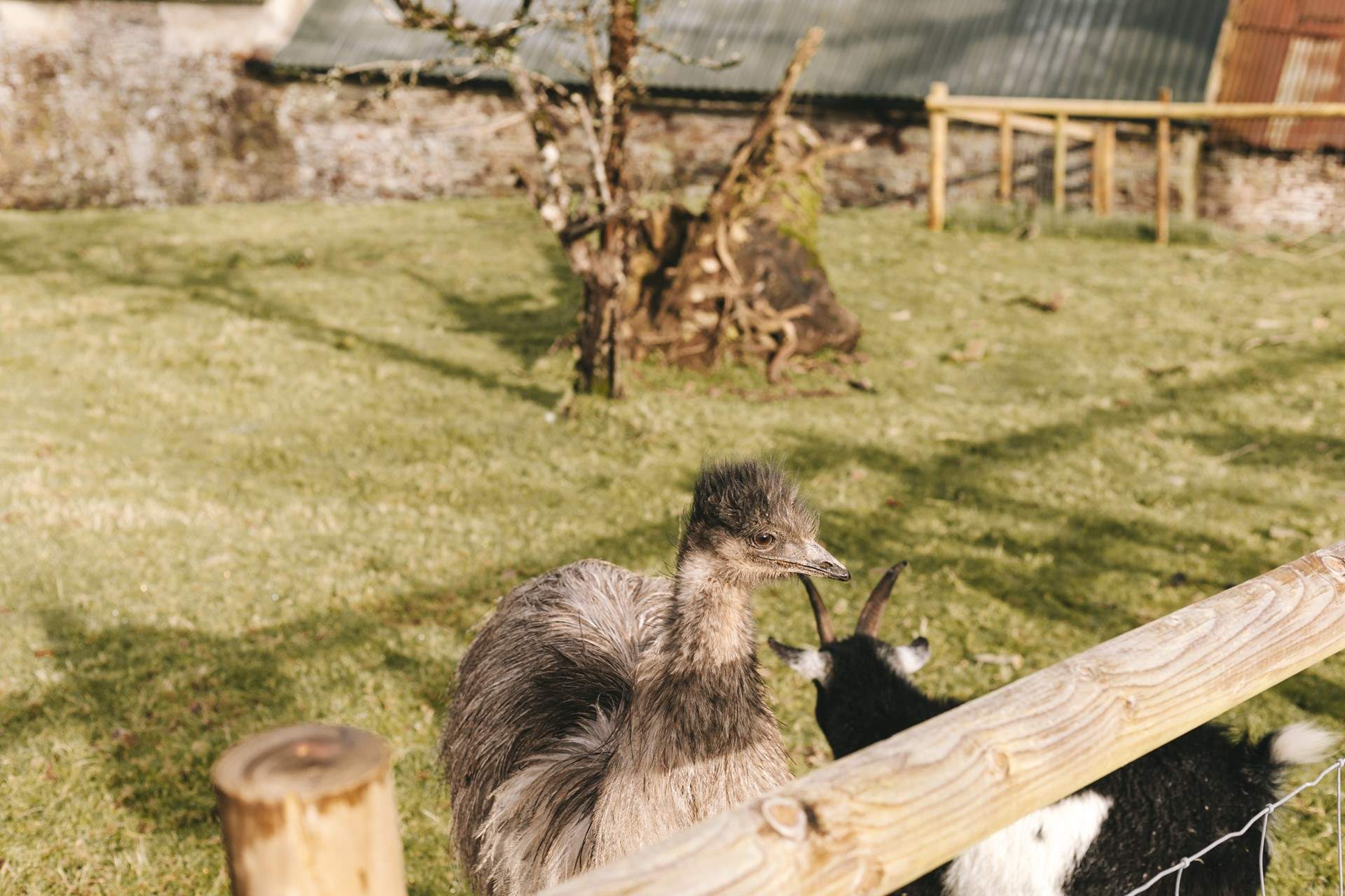 Don't be startled, they've only come to say hello! 