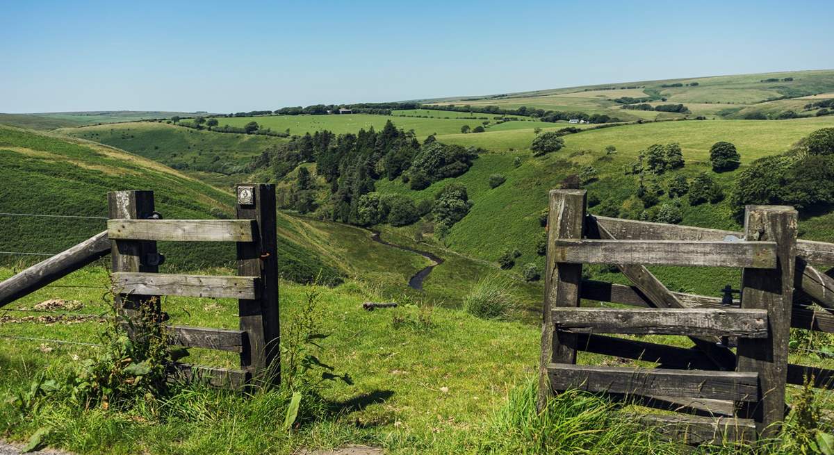 Exmoor has many walking trails and will simply delight, no matter the season.