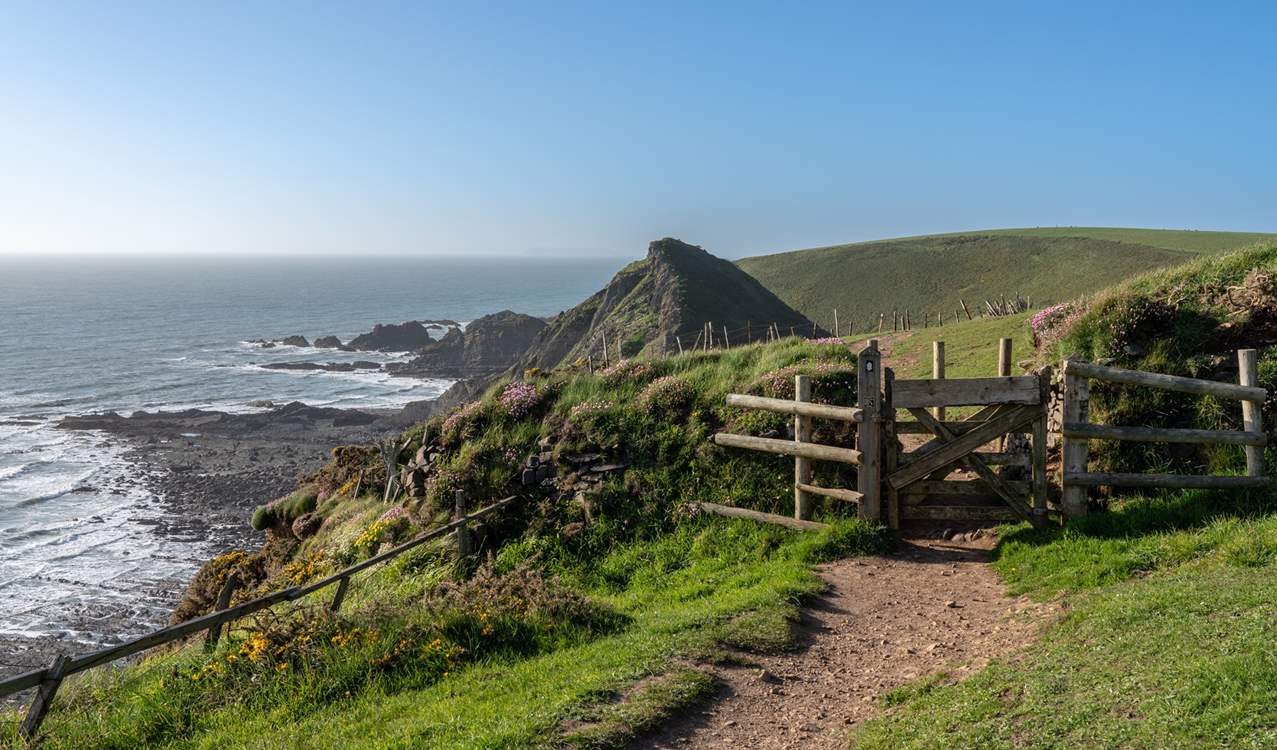 The glorious north Devon coast path is a short drive away; head north or south - you decide.