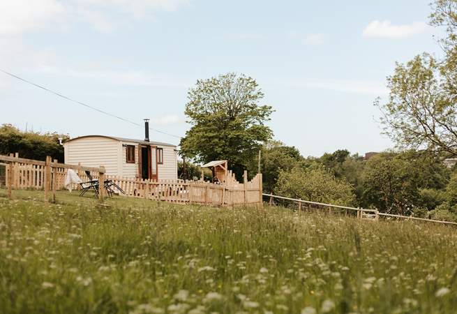 Welcome to Wootton Secret Hut, a north Devon treat.