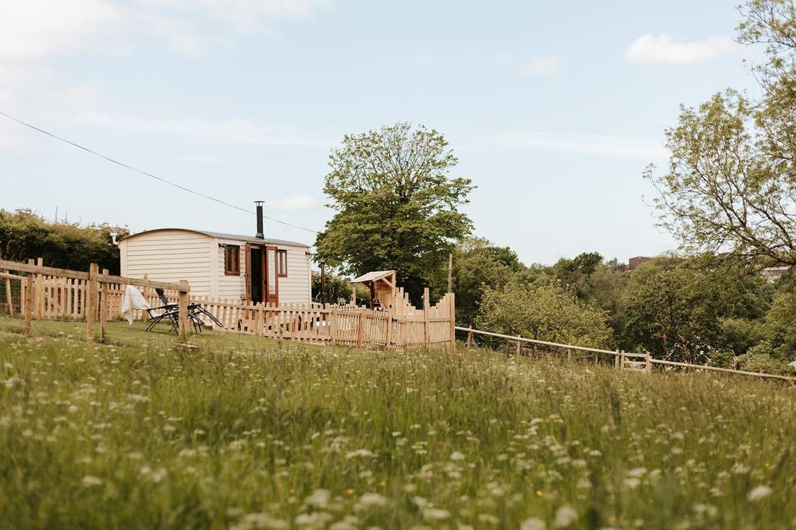 Welcome to Wootton Secret Hut, a north Devon treat.