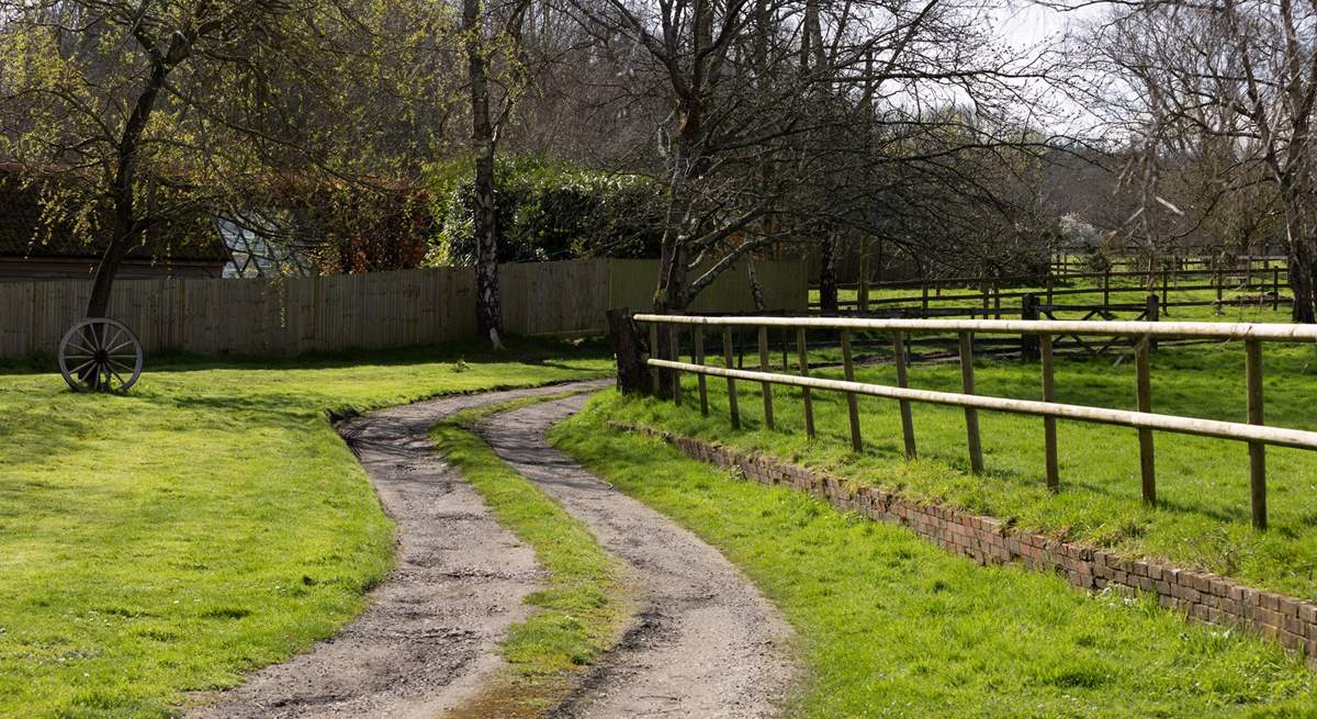 The sweeping driveway that leads to the parking area.  